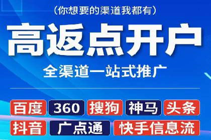 成功SEM服务案例分析报告